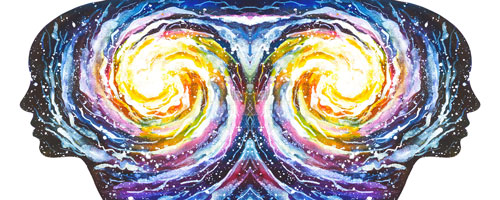 the dual brain